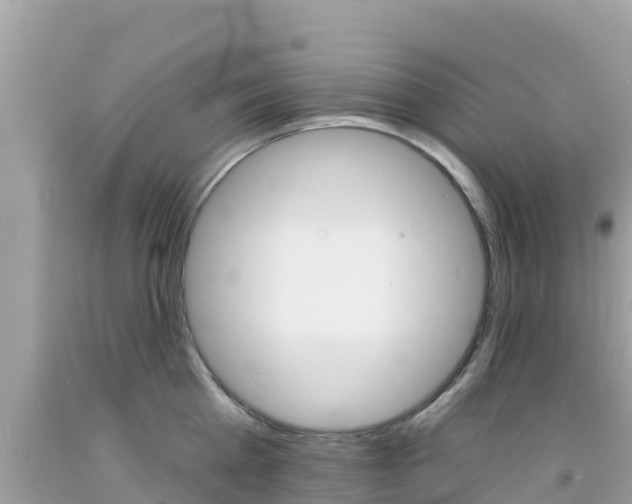 X0000092010809200709131533