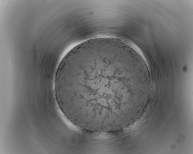 X0000092010811200709131533