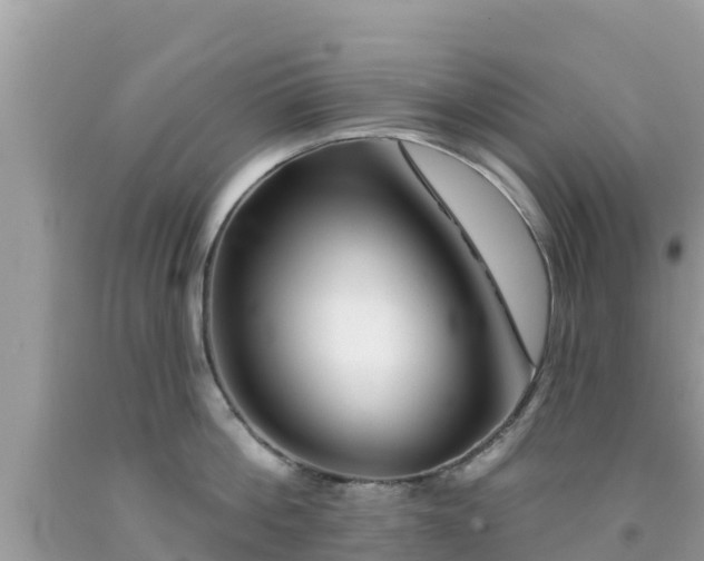 X0000092010812200709131533