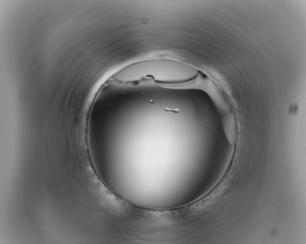 X0000092010816200709131533