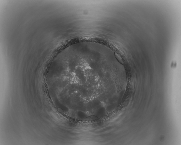 X0000092010817200709131532