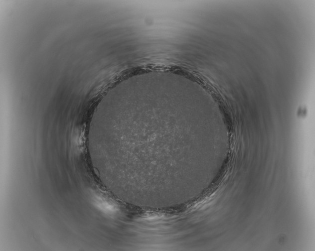 X0000092010818200709131532