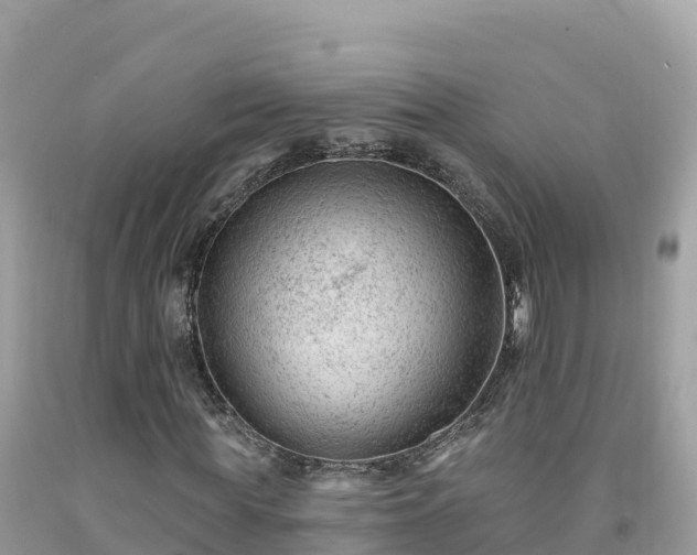 X0000092010819200709131532