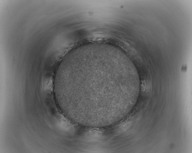 X0000092010820200709131532