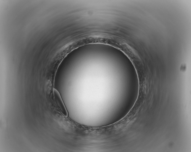 X0000092010821200709131532