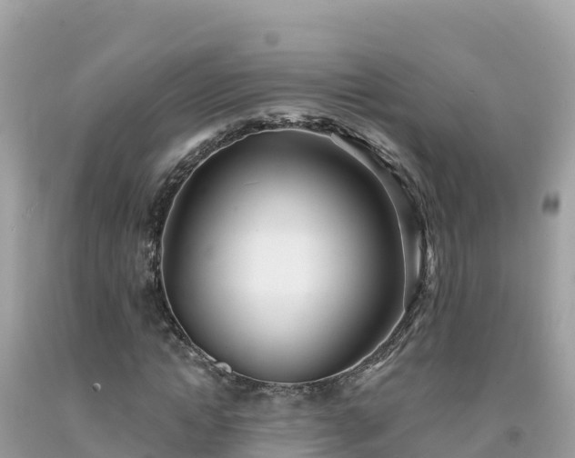 X0000092010822200709131532