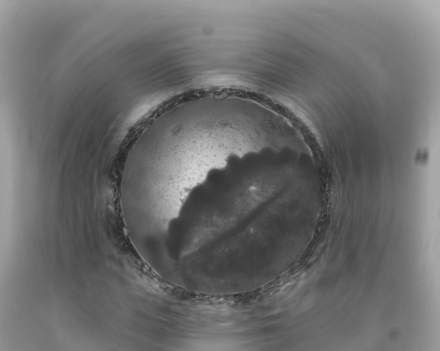 X0000092010823200709131532