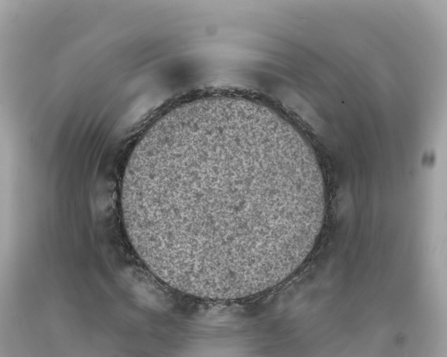 X0000092010824200709131532