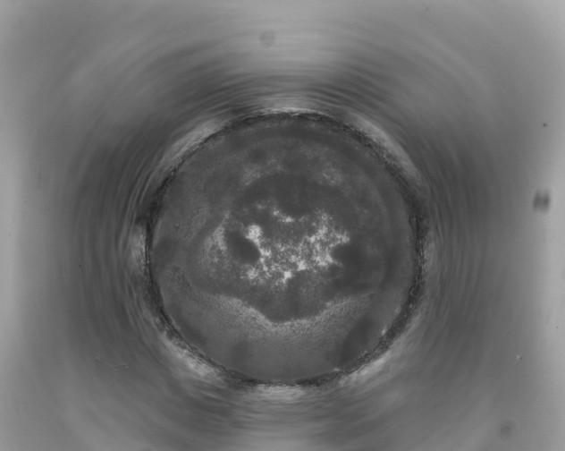 X0000092010825200709131532
