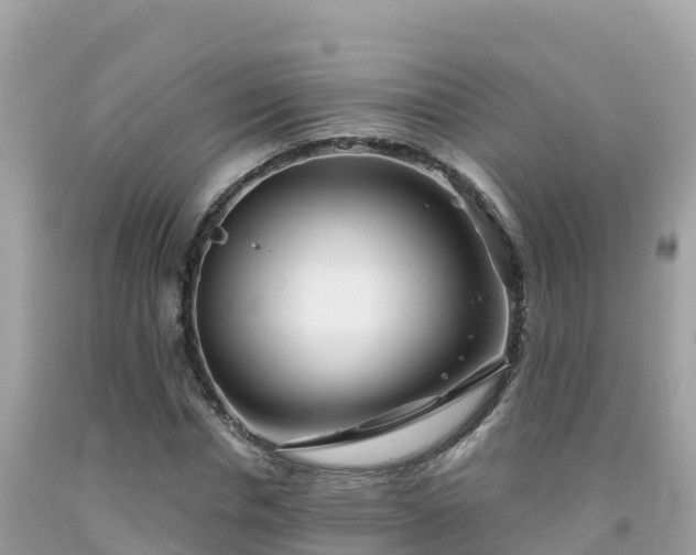 X0000092010826200709131533