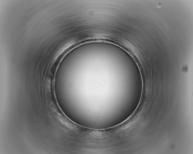 X0000092010827200709131533