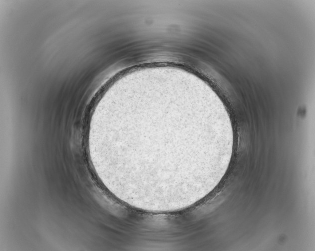 X0000092010828200709131533