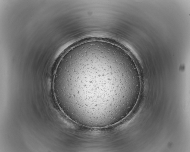 X0000092010829200709131533