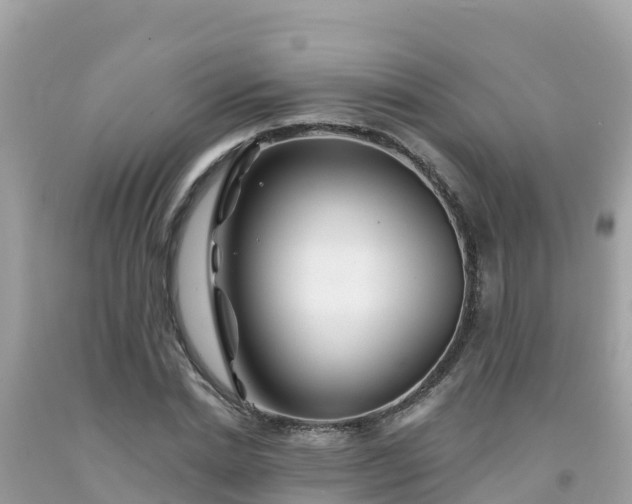 X0000092010830200709131533