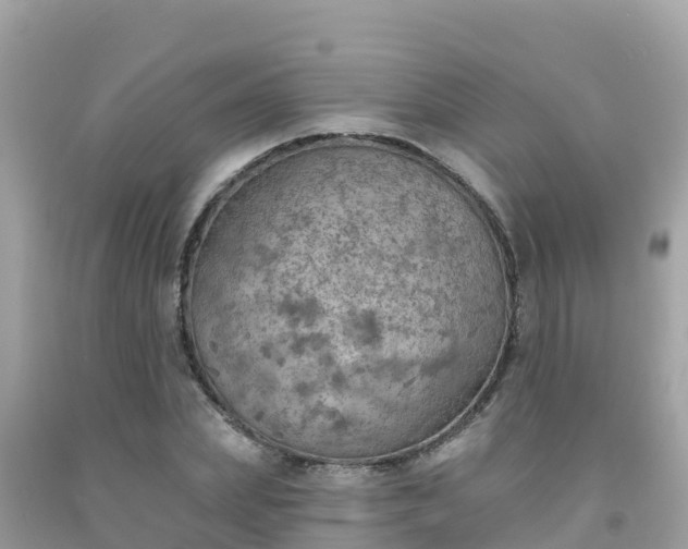 X0000092010831200709131533