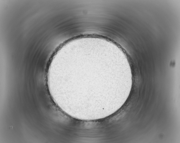 X0000092010832200709131533