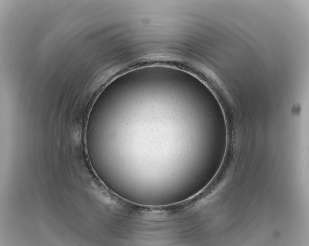 X0000092010833200709131533