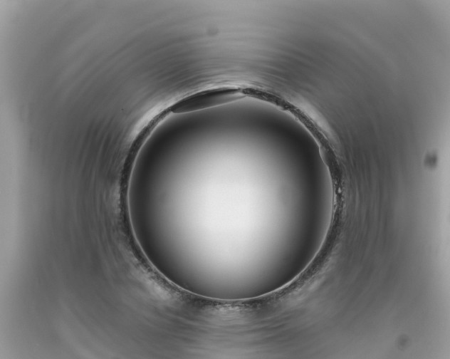 X0000092010834200709131533