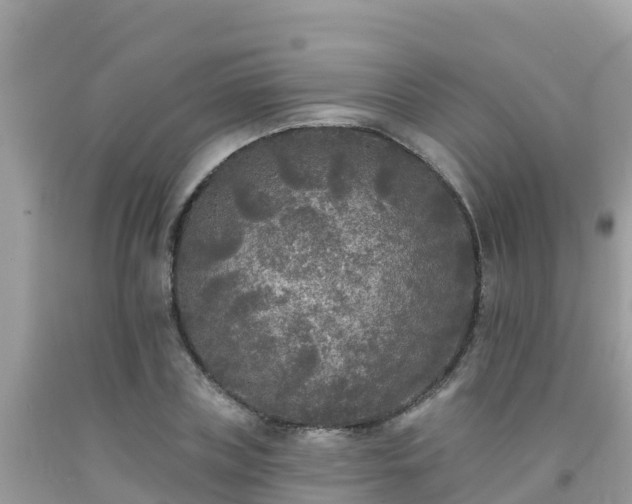 X0000092010835200709131533