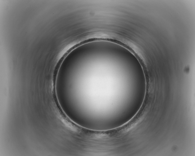 X0000092010837200709131533