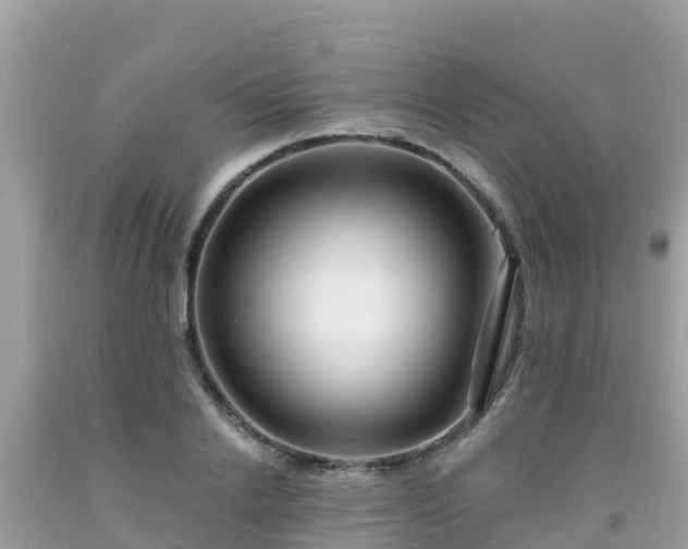 X0000092010838200709131533