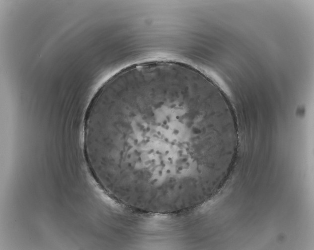 X0000092010839200709131533
