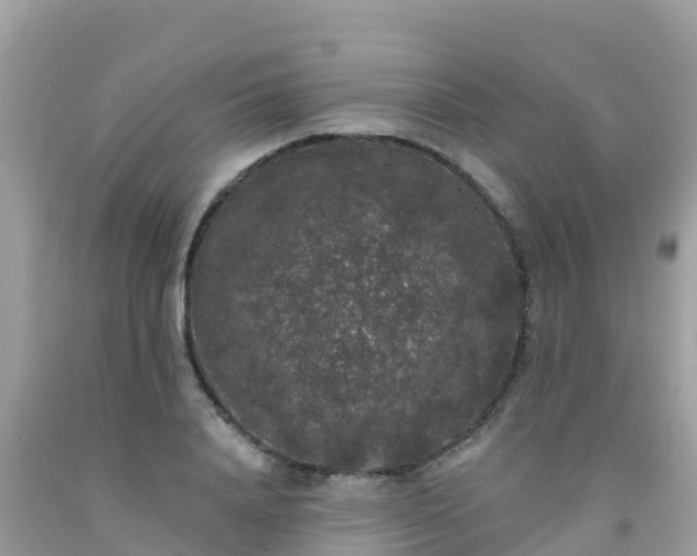 X0000092010840200709131533