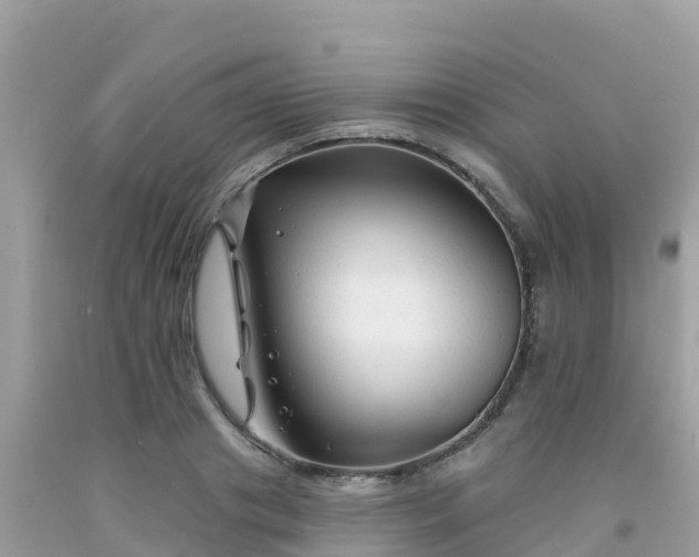 X0000092010841200709131533