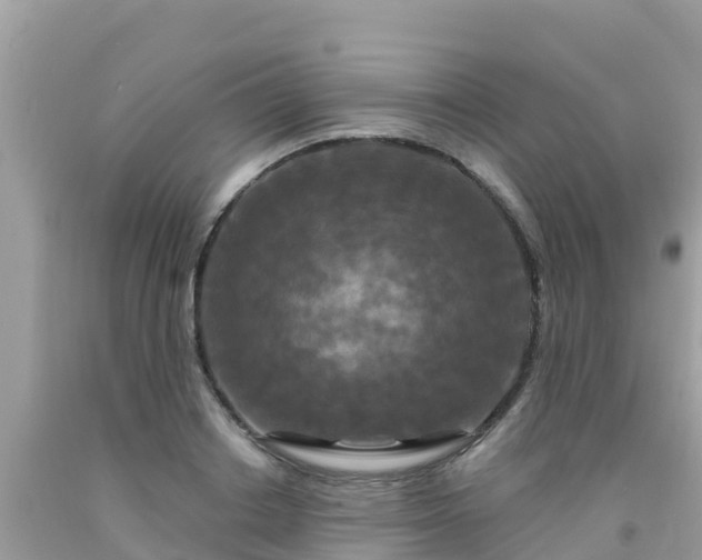 X0000092010842200709131533