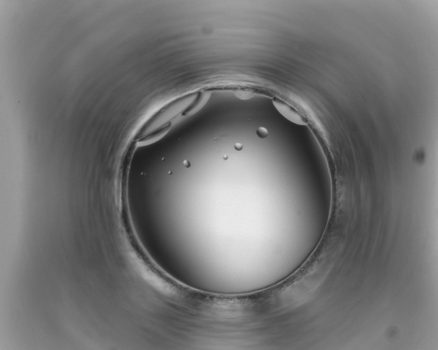 X0000092010843200709131533