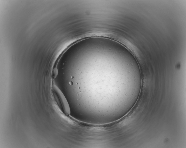X0000092010844200709131533