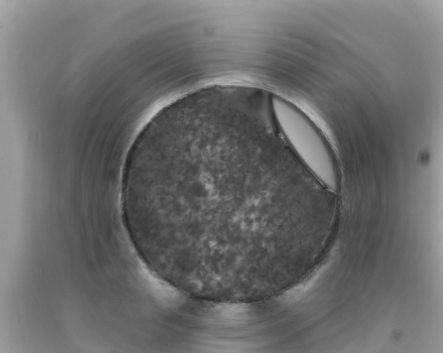 X0000092010845200709131533