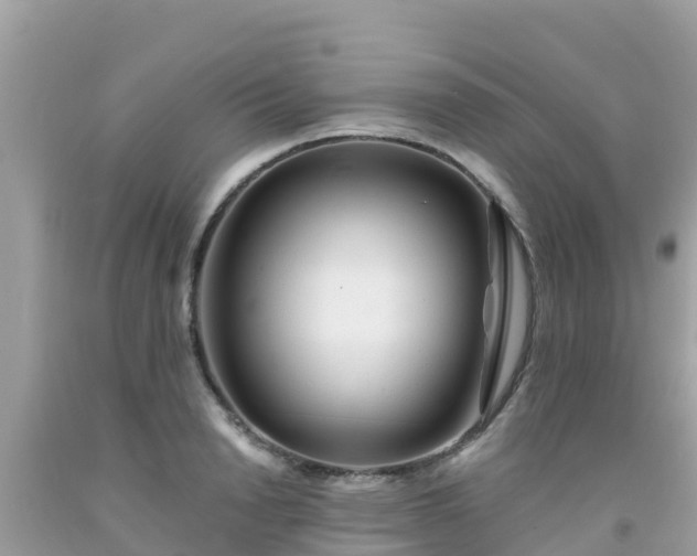 X0000092010846200709131533