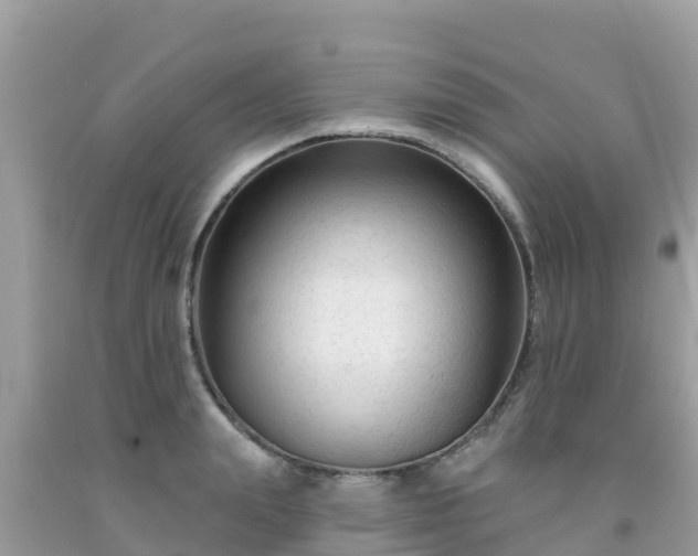 X0000092010847200709131533