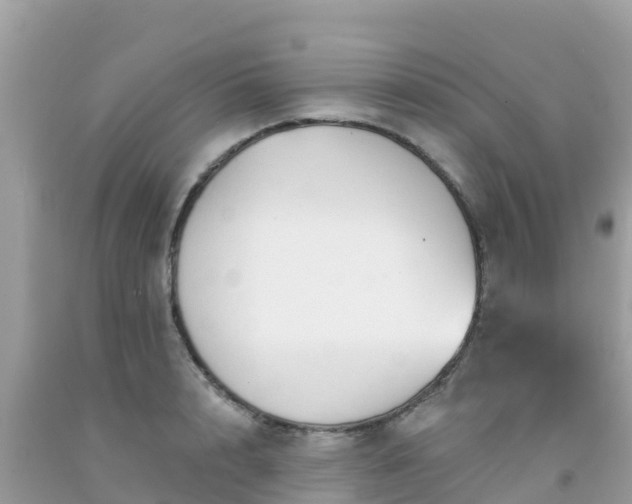 X0000092010848200709131533