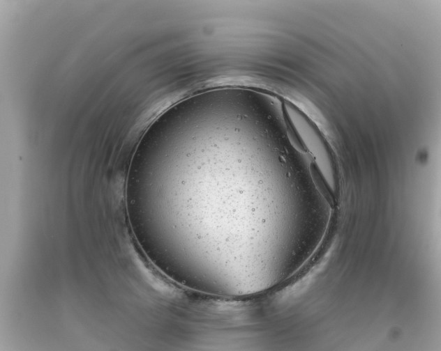 X0000092010849200709131533