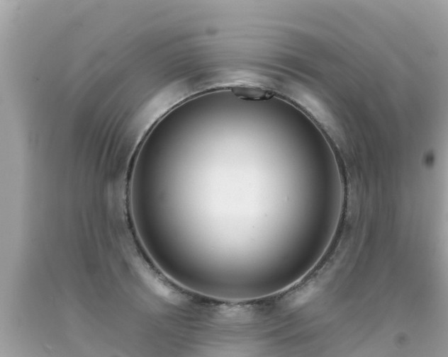 X0000092010850200709131533