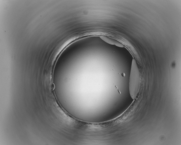 X0000092010852200709131533