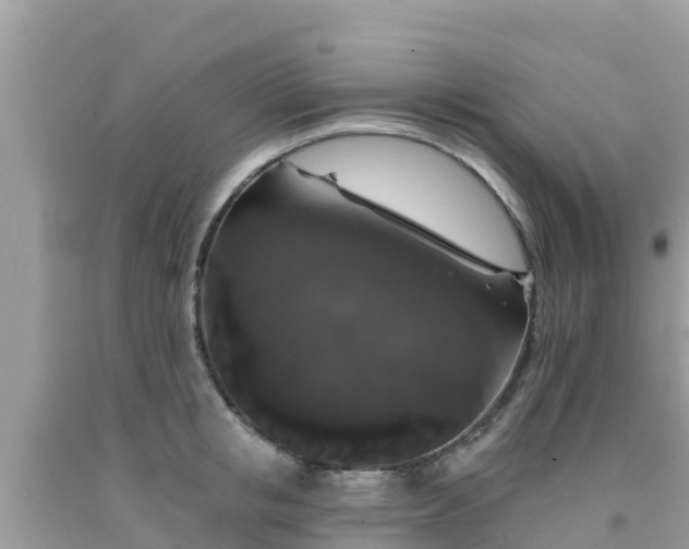 X0000092010853200709131533