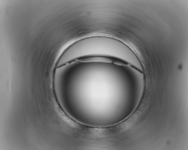 X0000092010854200709131533