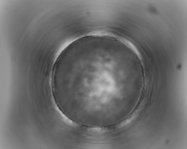 X0000092010855200709131533