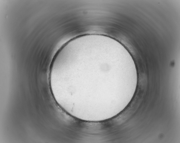 X0000092010856200709131533