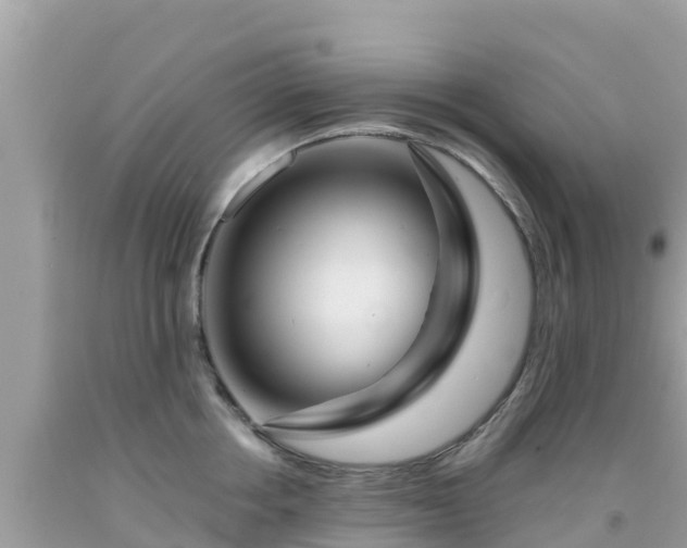 X0000092010858200709131533