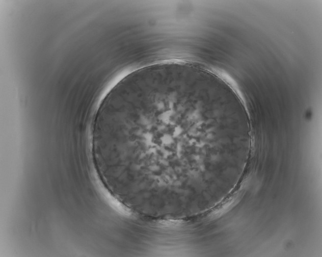 X0000092010859200709131533