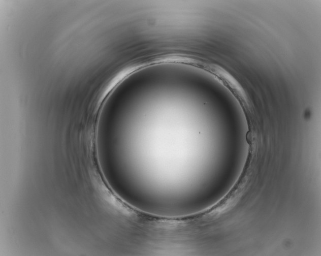 X0000092010860200709131533