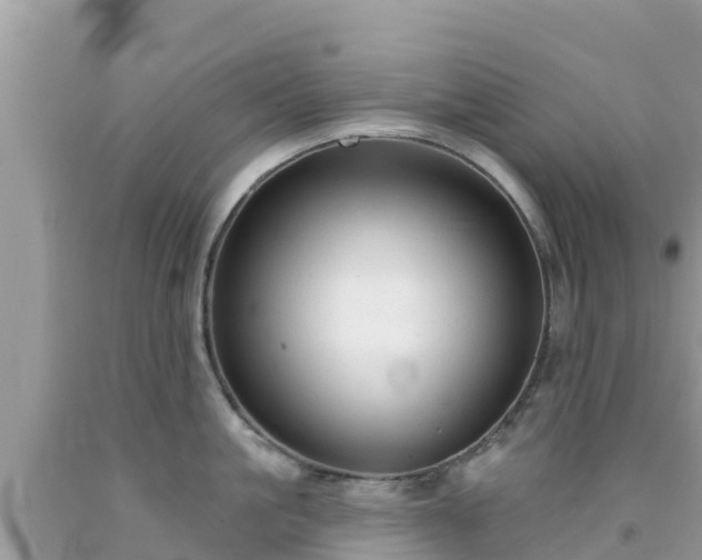 X0000092010861200709131533