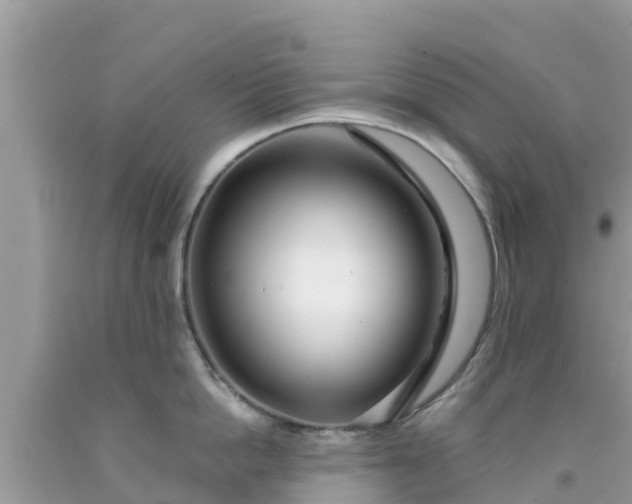 X0000092010862200709131533