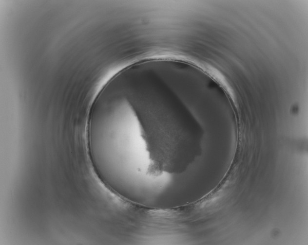 X0000092010863200709131533