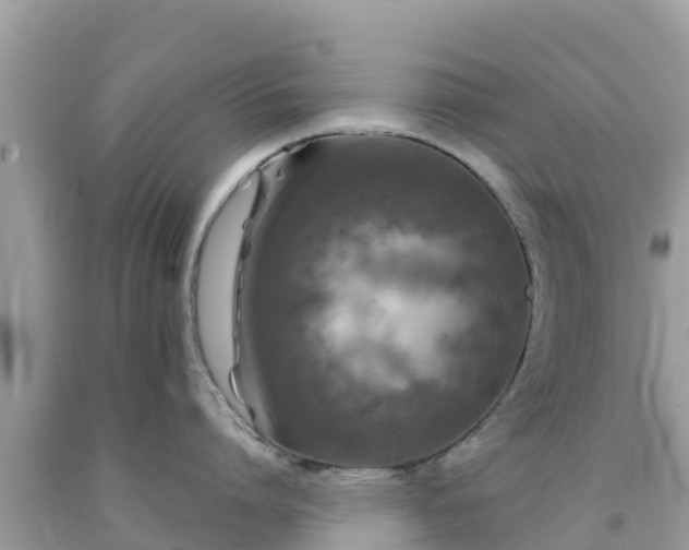 X0000092010864200709131533
