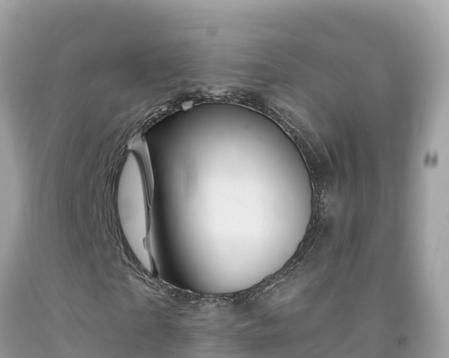 X0000092010865200709131532